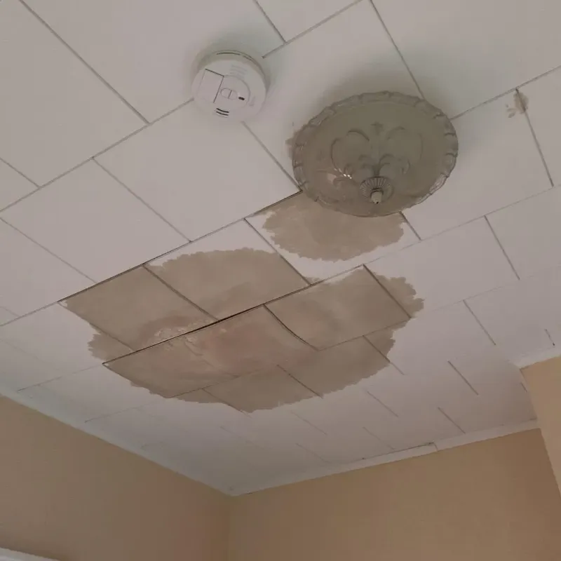Ceiling Water Damage Repair in Vicksburg, MI