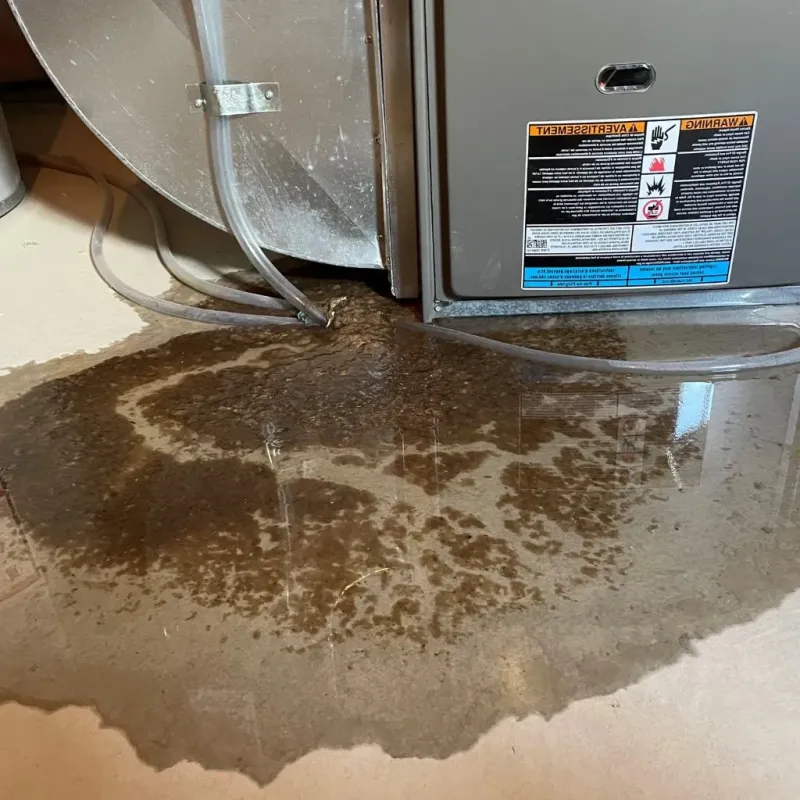 Pipe Burst and Leak Restoration in Vicksburg, MI