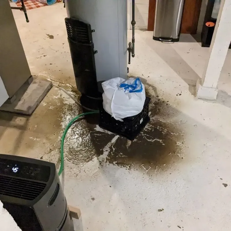Sewage Backup Cleanup Service in Vicksburg, MI